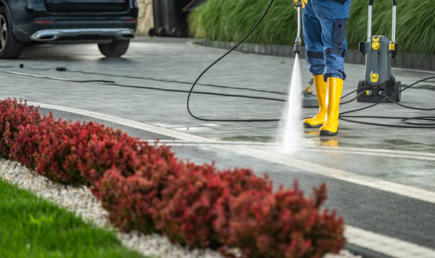Best Driveway Pressure Washing  in Rio Vista, TX